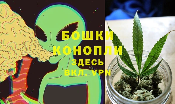 дживик Бугульма