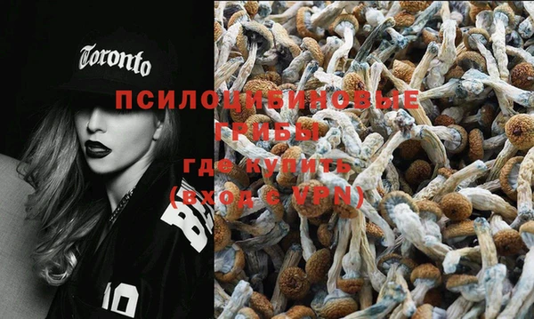 ECSTASY Лиски
