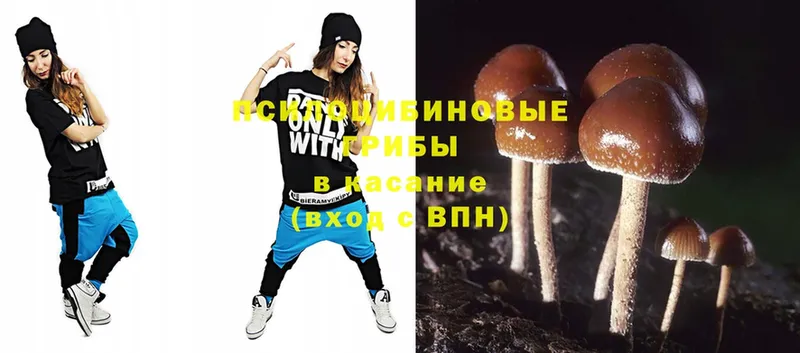 Галлюциногенные грибы Magic Shrooms Инза