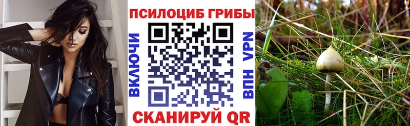 Галлюциногенные грибы Psilocybe  Инза 