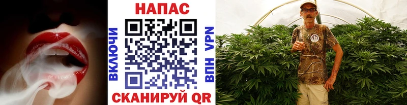 Канабис конопля  Инза 